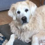 Profile Picture of Becky Croucher (@rebecca.croucher.75) on Instagram