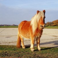 Profile Picture of James Garvin (@james-garvin-13) on Quora