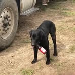 Profile Picture of Kevin Klatt (@kevin.klatt.52) on Facebook