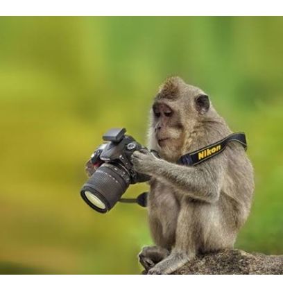 hài hước - Tiktok Profile Picture of hài hước (@leetammiu) on Tiktok