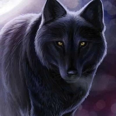 Profile Picture of Big Wolf (@RobertPrentice7) on Twitter