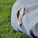 Profile Picture of Chu David (@David-CP) on Flickr