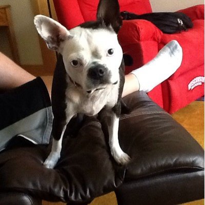 Steven Radloff - Twitter Profile Picture of Steven Radloff (@pjradlof) on Twitter