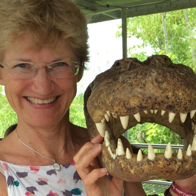 Profile Picture of Pamela Wade (@TravelSkite) on Twitter