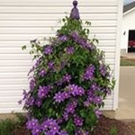 Profile Picture of Lynn Sledge (@sledge_lynn) on Instagram