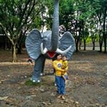 Profile Picture of Soledad Romero (@soledadromero1559) on Instagram