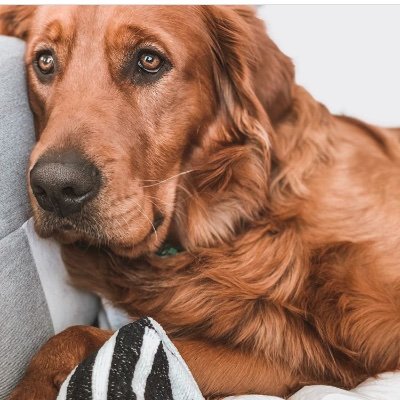 Profile Picture of Jeff Fowler (@fowler_jeff) on Twitter