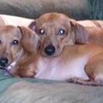 Profile Picture of Brian J Goering (@goeringbrian) on Instagram