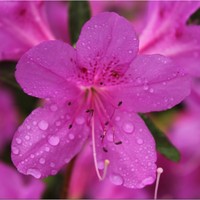 Profile Picture of Mia Richards (@mia-richards-1) on Quora