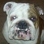 Profile Picture of Tanya Davey-Carlson (@tlcarlson077) on Instagram