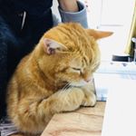 Profile Picture of Mari Itou (@mari.itou.50) on Instagram