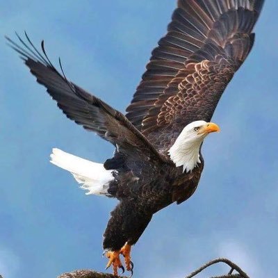 Profile Picture of Mohamad Mourad (@Mohamad11875710) on Twitter