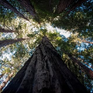 Profile Picture of George Theo (@geotheoed) on Instagram