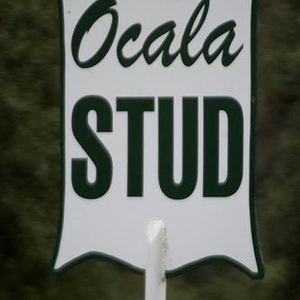 Profile Picture of Kenneth Romero (@ocalaken1988) on Myspace