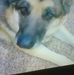 Profile Picture of Ryan Mohr (@ryan.mohr.520) on Facebook