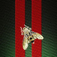 Profile Picture of Joseph Ramsay (@joseph-ramsay-5) on Quora