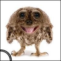 Profile Picture of Guido Martinez Toledo (@guidoxtibia) on Myspace