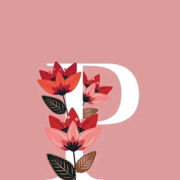 Profile Picture of Paige Vannata (@vannatapaige) on Poshmark