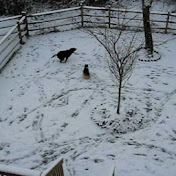 Profile Picture of Greg May (@greg6060) on Youtube