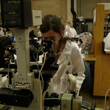 Profile Picture of Kelly A. Hogan Ph.D. (@Loose_Lab_Rat) on Twitter