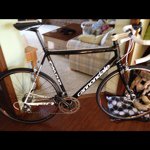 Profile Picture of Barry Mcmanus (@natchamp13) on Instagram