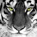 Profile Picture of Zack Fulton (@zack.fulton.16) on Facebook