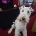 Profile Picture of Andrew Coulthard (@andrew.coulthard.737) on Facebook