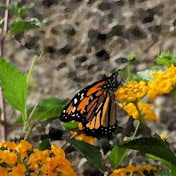 Profile Picture of Gary Cox (@ukbadge) on Youtube