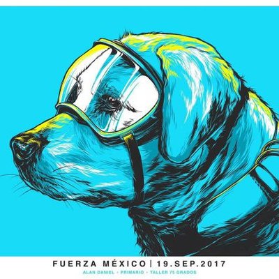 Profile Picture of CLAUDIA BARRERA (@laverdeflor) on Twitter