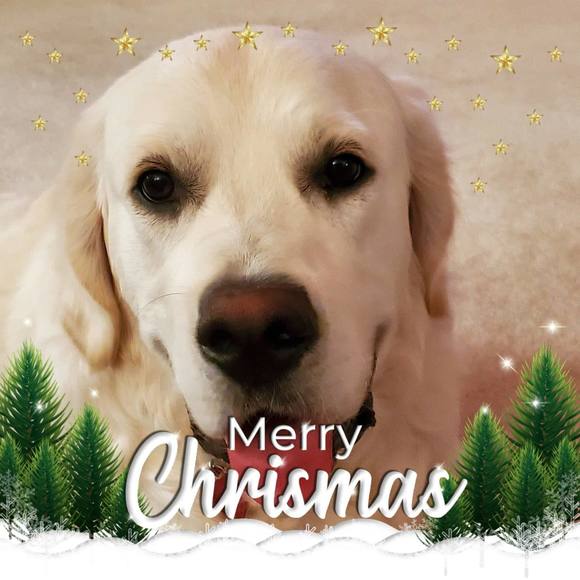 Profile Picture of Shelly Molen (@shellymon29) on Poshmark