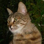 Profile Picture of bianca doyle (@bianca0338ys) on Instagram