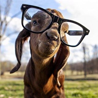 Profile Picture of Tony Ike (@tony.ike.7739) on Facebook