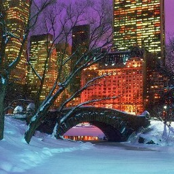 Profile Picture of Kelly Deneve (@skdeneve) on Poshmark