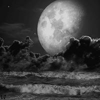 Profile Picture of Barefoot Luxury Villas (@kevinhealy69) on Pinterest