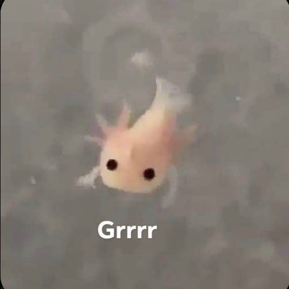 Julian Day - Poshmark Profile Picture of Julian Day (@whatacutieiam) on Poshmark