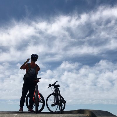 Profile Picture of Scott Yang (@ScottYang2003) on Twitter