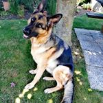 Profile Picture of Jean-François Lantz (@jeanfrancoislantz) on Instagram