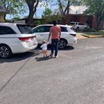 Profile Picture of Brian Kasper (@papa_kasper) on Instagram