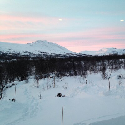 Profile Picture of Bob Asher (@asher_bob) on Twitter