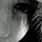 Profile Picture of Marta (@marta rutkowska) on Flickr
