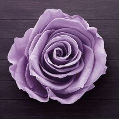 Profile Picture of tabitha (@tabithatouray5) on Tiktok