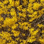 Profile Picture of 김종순 (@jzs7903) on Instagram