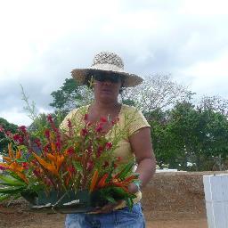 Profile Picture of DINA (@DINA1DAVE) on Twitter