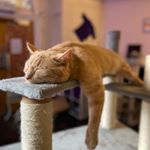 Profile Picture of David Dalley (@oneharry_cloud) on Instagram