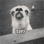 Profile Picture of michaeldawkins (@michaeldawkins123) on Instagram