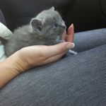 Profile Picture of Jose Moutinho (@moutinho67) on Instagram