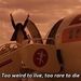 Profile Picture of Frédéric Cybulski (@elvis_graveyard) on Pinterest