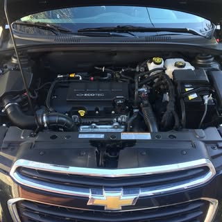 Profile Picture of Michael Marcantonio (@marcantonio.michael) on Instagram