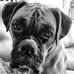 Profile Picture of Adam Flinn (@adam.flinn.752) on Facebook