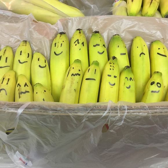 Profile Picture of David Jung (@djjung) on Poshmark